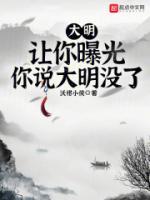 大明让你曝光你说大明没了这本书的第15章到70章