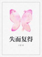 失而复得的日记