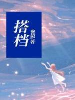 搭档皮卡丘和搭档伊布哪个更好