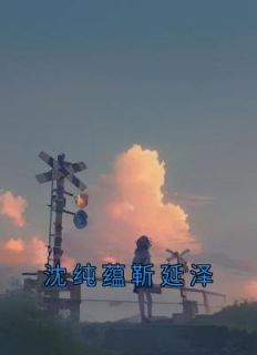 沈纯蕴靳延泽律师故事什么