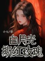 白月光和红玫瑰代表什么