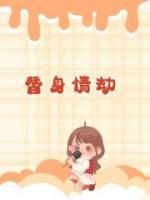 替身情人百科