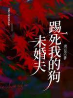 苏晚晚的穿越