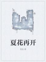 夏花再开陈泽