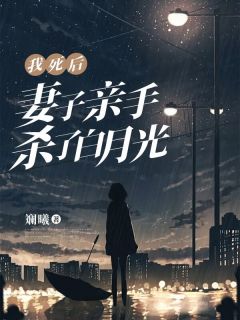 亲手将我送进监狱