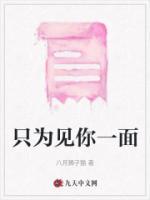 只为见你一面的诗句