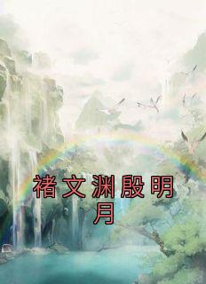 殷明月褚文渊27章