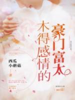 豪门的爱情