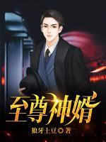 叶昊郑漫儿免费章节