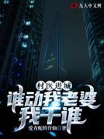 护花狂魔叶飞