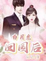 白月光归来后续剧情