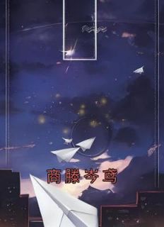商滕岑鸢开车