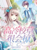 高冷校草txt