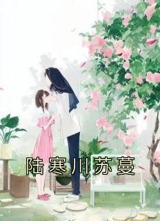苏蔓陆时远的