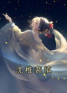 沈稚裴慎被谁夺了清白