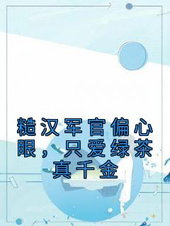 糙汉军官文