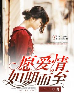 叶知秋辛少轩完整版免费观看