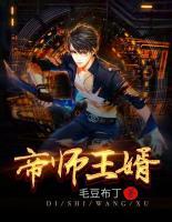 帝师王婿完整版免费阅读无弹窗