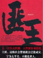 匪王2