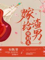 沈鸾秦戈曹瑾全文免费阅读
