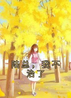 陆总有病你得治啊原名