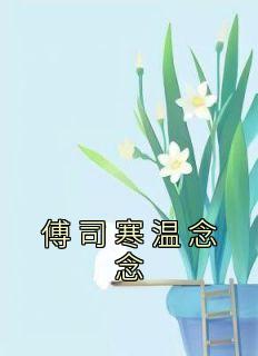 傅司寒许念初