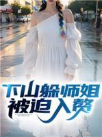 叶南林清柔免费阅读人