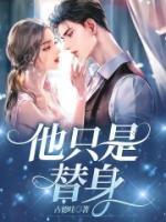 只是替身吗阅读