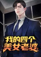 王浩李洁赘婿第三部