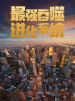 主角叫叶无锋