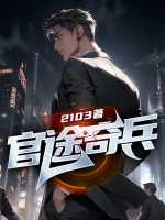 官途奇兵肖向兵李盈盈