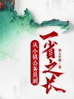 从小镇公务员到一省之