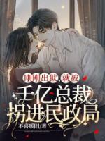 叶乔斐傅北墨短剧全集免费观看