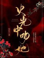 他从火光中走来徐智艺结局