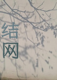 结网计数法