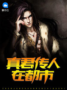 叶楚月休夫轩辕宸名字