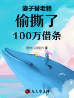 金牌调解妻子借给别人100万