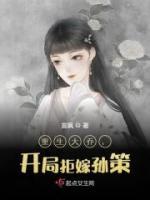 重生大乔二乔