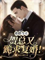 今天复婚成功了吗