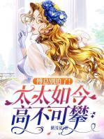 傅太太无弹窗全文