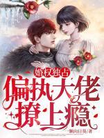 婚权独占冷少宠妻入骨未删减