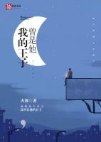 向思楠沈念糖全文免费