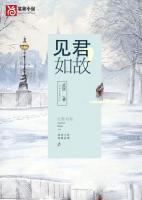 见君如故的诗句