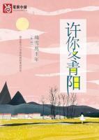 许你冬至晴天全文