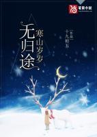 山寒岁云暮