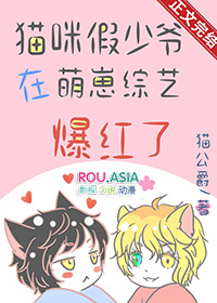 假猫儿是什么意思