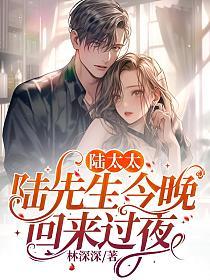 陆太太是捡来的全文免费阅读