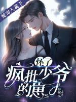 姜姜茵陆晋阳免费阅读