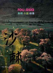 沙棘干乳剂的功效和作用