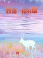 周叶鹿小元是什么